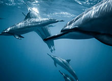 赛事时间表-阿根廷世界杯号码公布：梅西10号 曼城妖锋9号